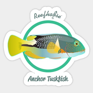 Anchor Tuskfish Sticker